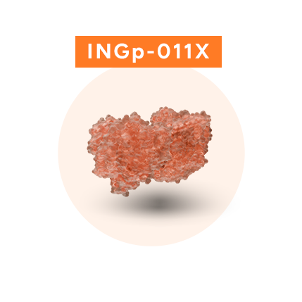 INGp-011X